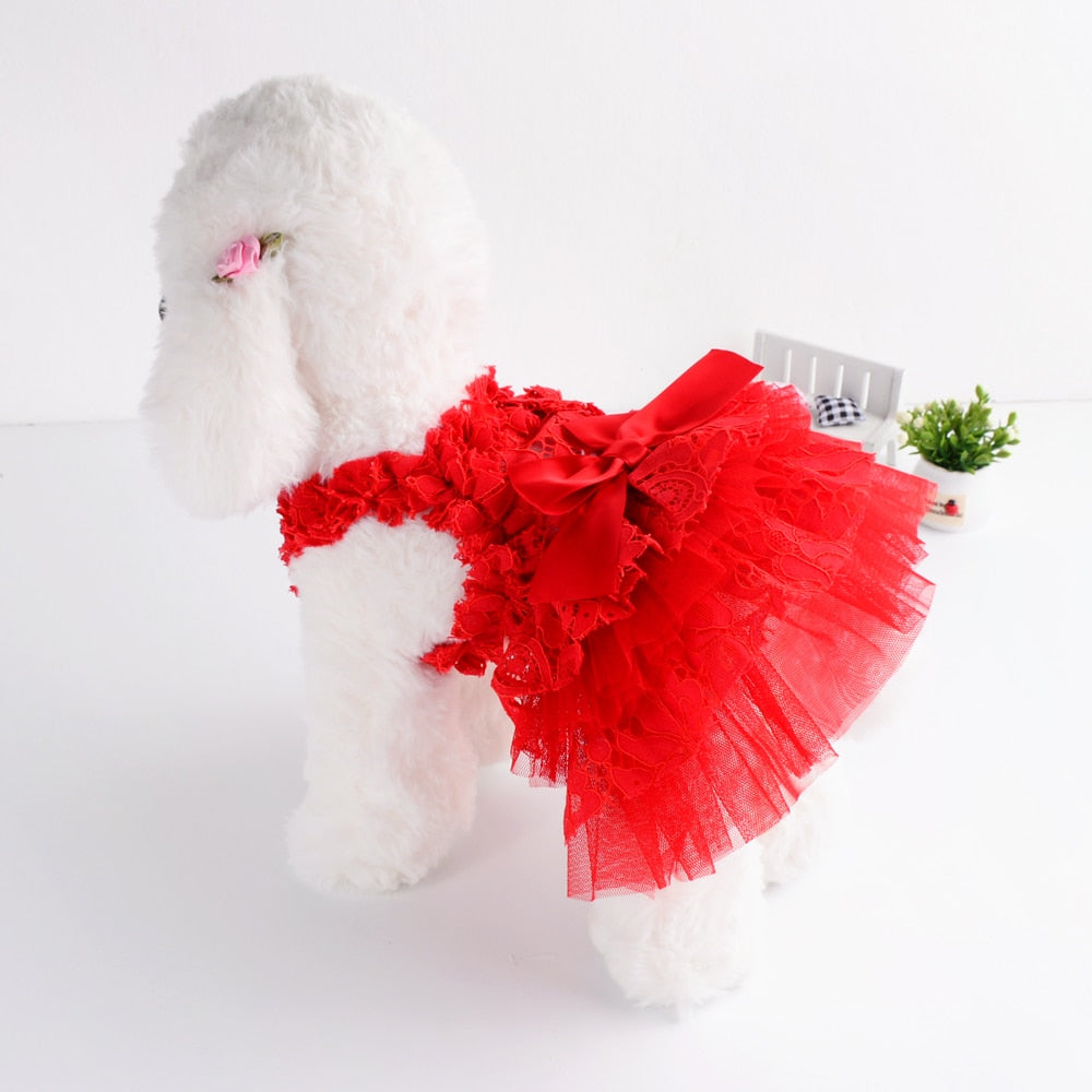 Lace Frill Dress for small dogs