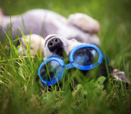 ILS 2 Blue Frame with Blue Lens