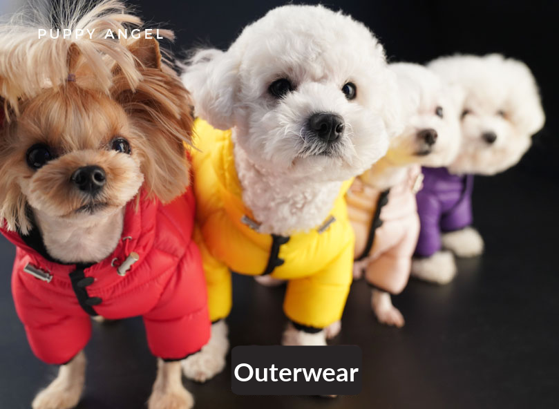 Puppy Angel Outerwear