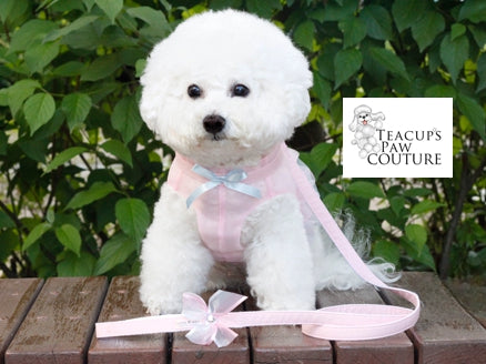 Dog Harness, Harness for Small Dogs, Small Dog Harness, Dog Harness with Tutu, tutu Dog Harness