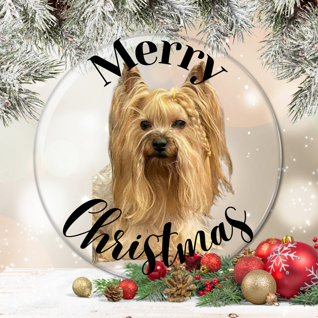 Customized Christmas Card Download