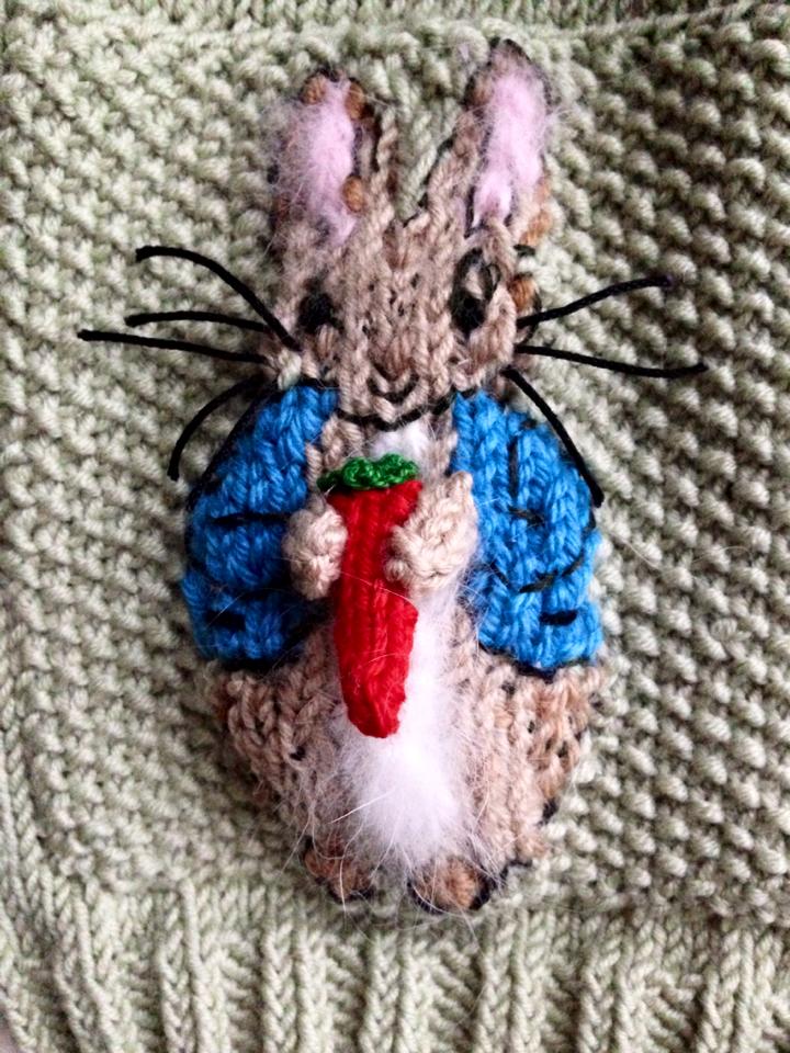 Peter Rabbit!  Sweater