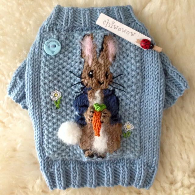 Peter Rabbit!  Sweater