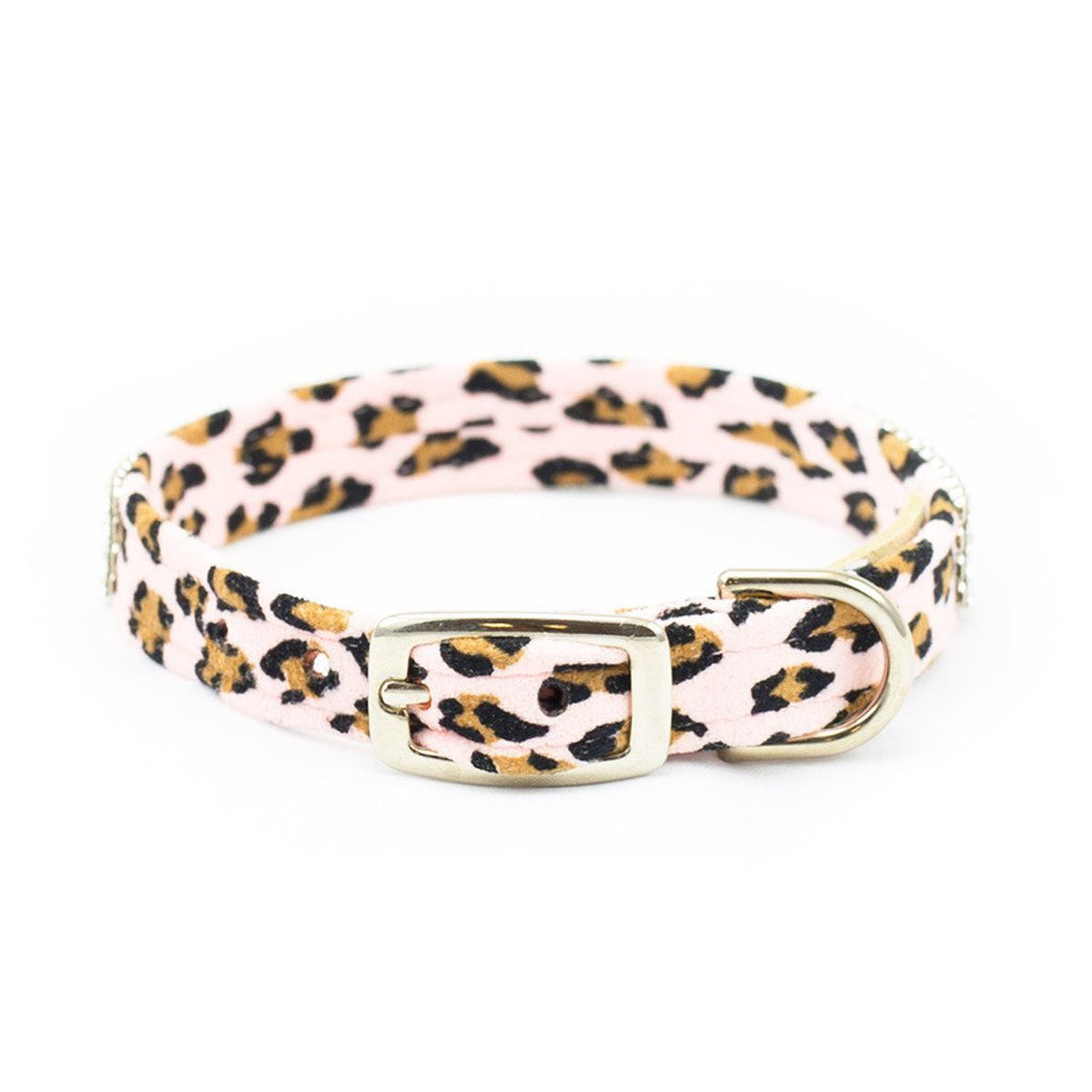 Cheetah Couture 3 Row Giltmore Collar