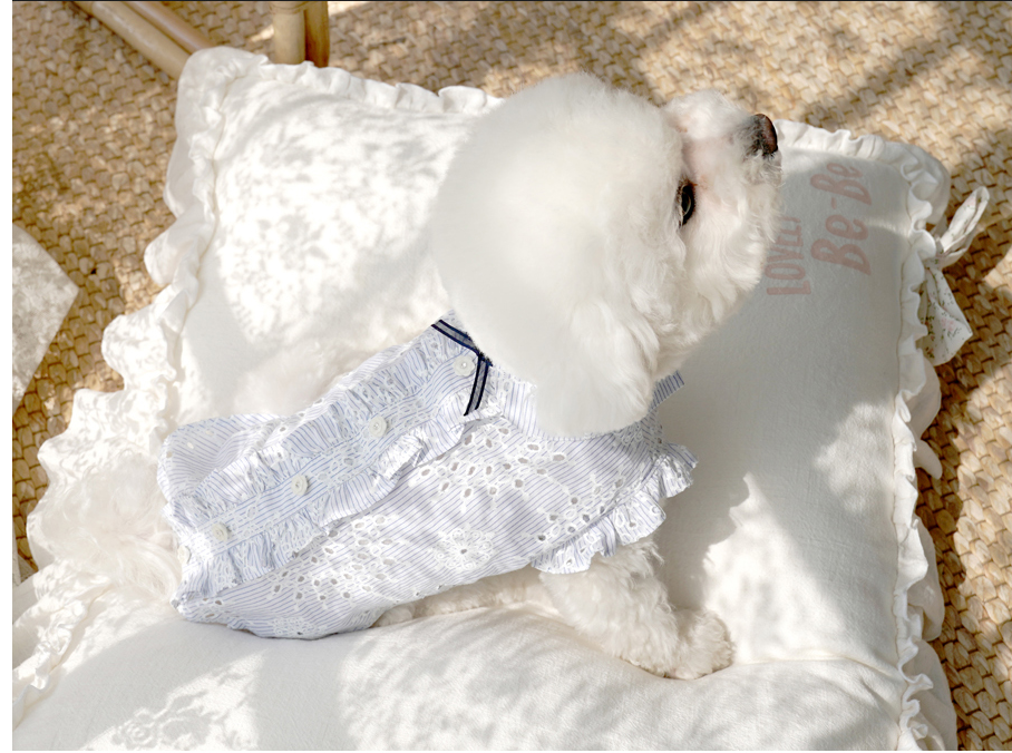 Bebe Linen Cotton Cushion