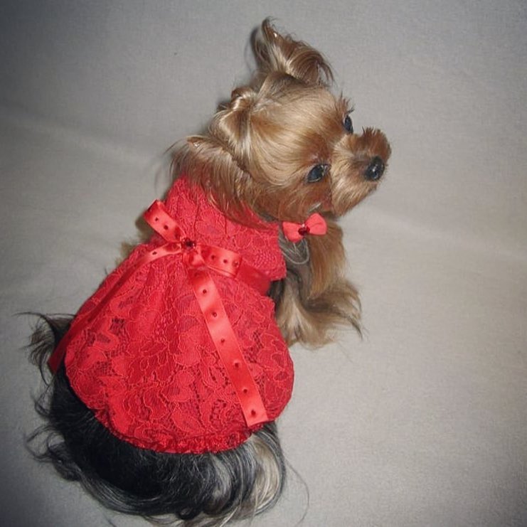 Red Ruffles and Ribbons Couture Dress
