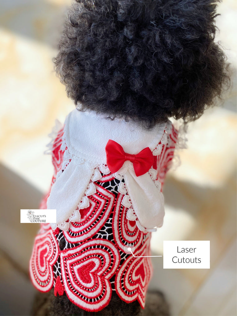 Casual Doggie Dresses | Teacup's Paw Couture