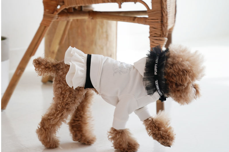 Puppy Angel Diva Frill Hood Track Skirt