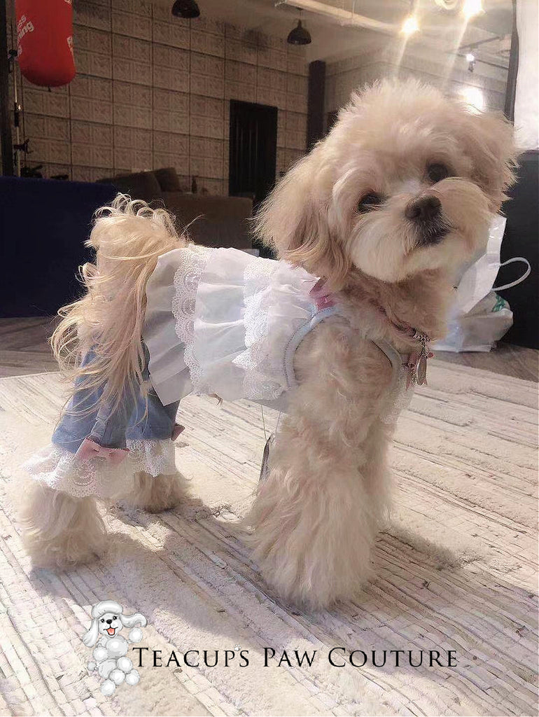 Glamour in Lace Doggie Romper