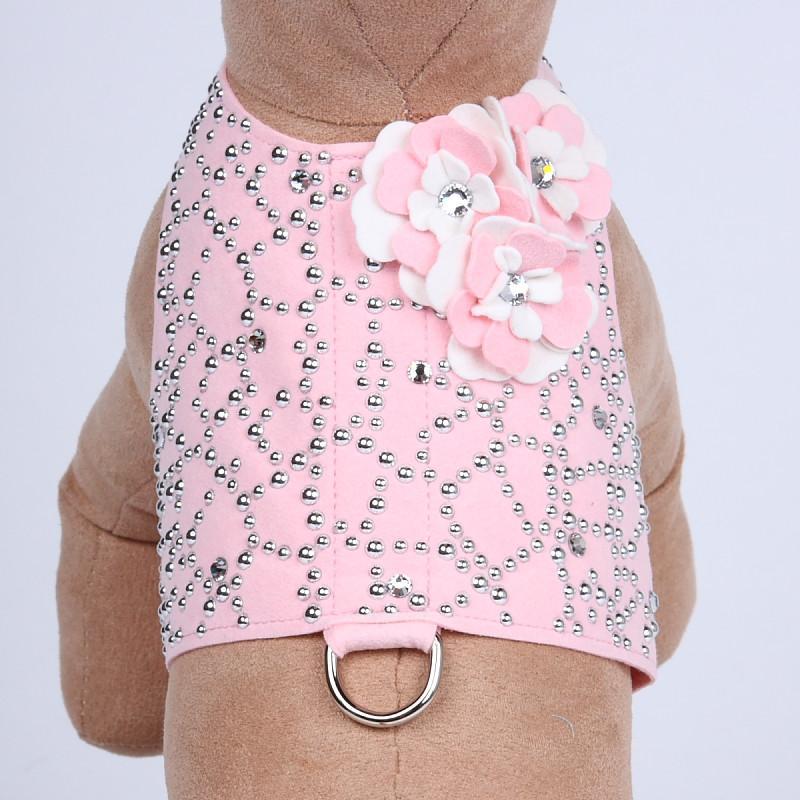 Special Occasion Bailey Harness
