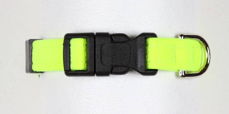 Firefly Quick Release Collar