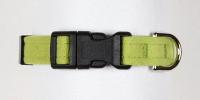 Lime Quick Release Collar