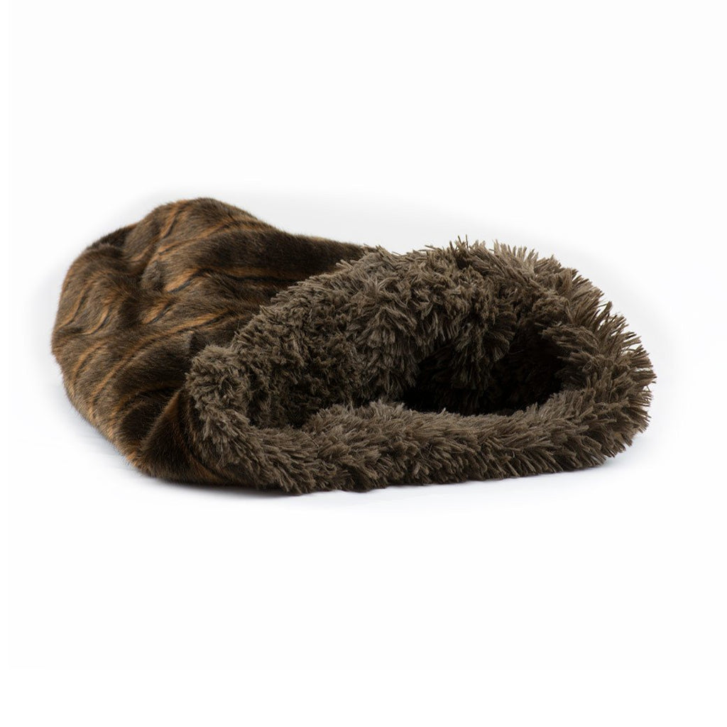 Chocolate Sable with Chocolate Shag Cuddle Cup