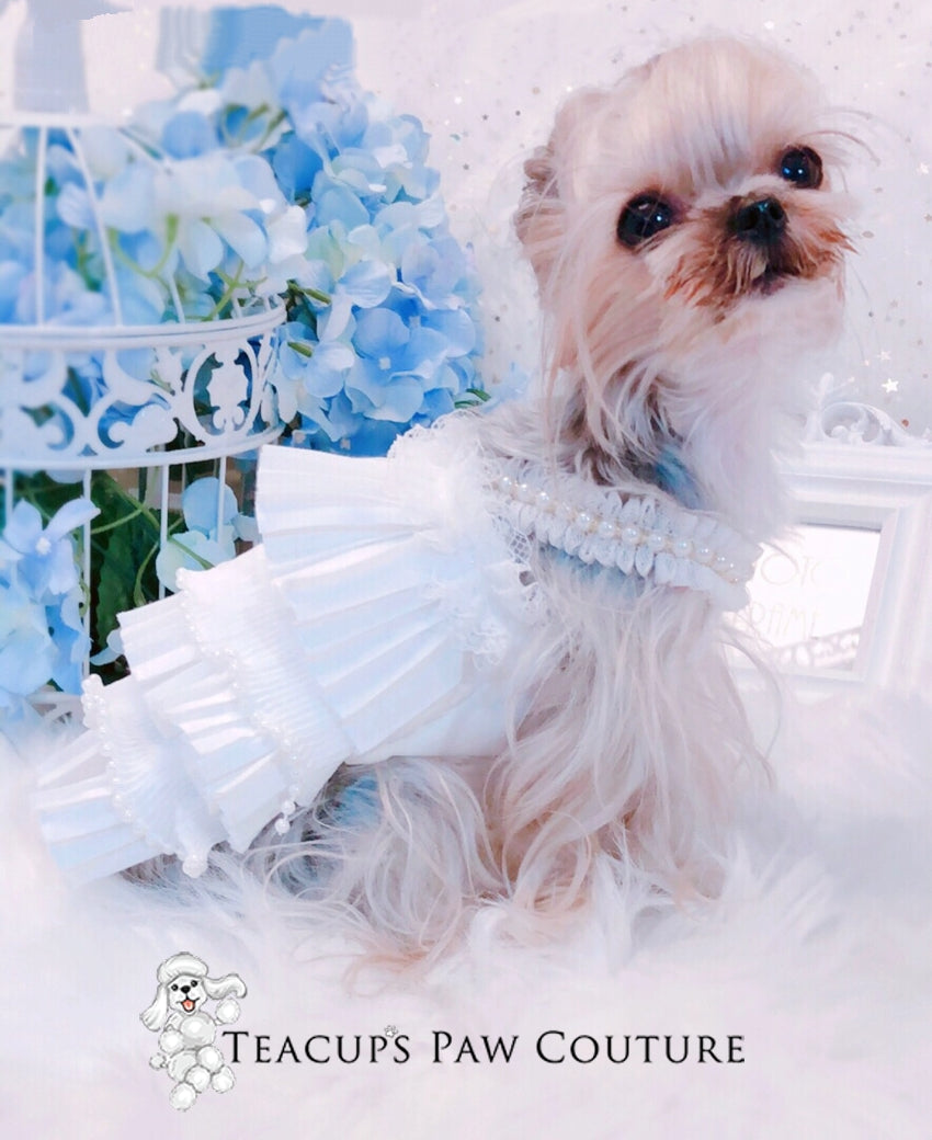 Formal Doggie Dresses | Teacup's Paw Couture Formal Doggie Dresses | Teacup's Paw Couture