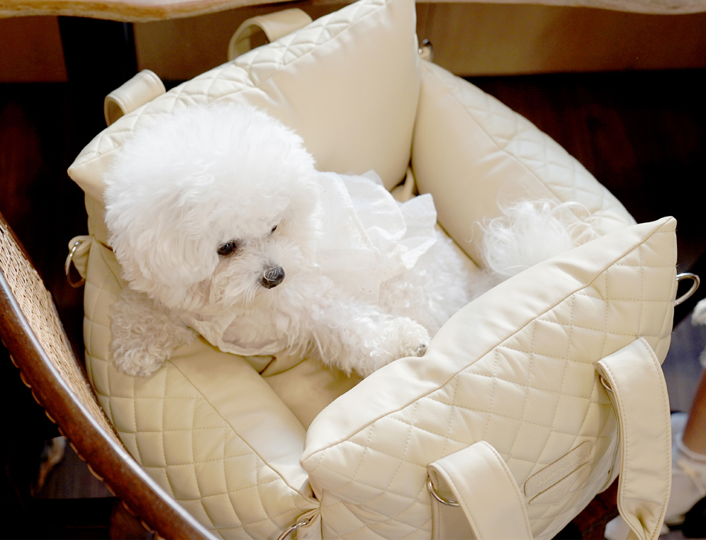 Teacup's Paw Couture 3 Way Car Seat & Carrier