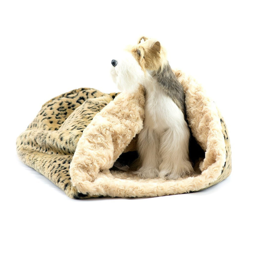 Camel Lynx with Camel Curly Sue Cuddle Cup