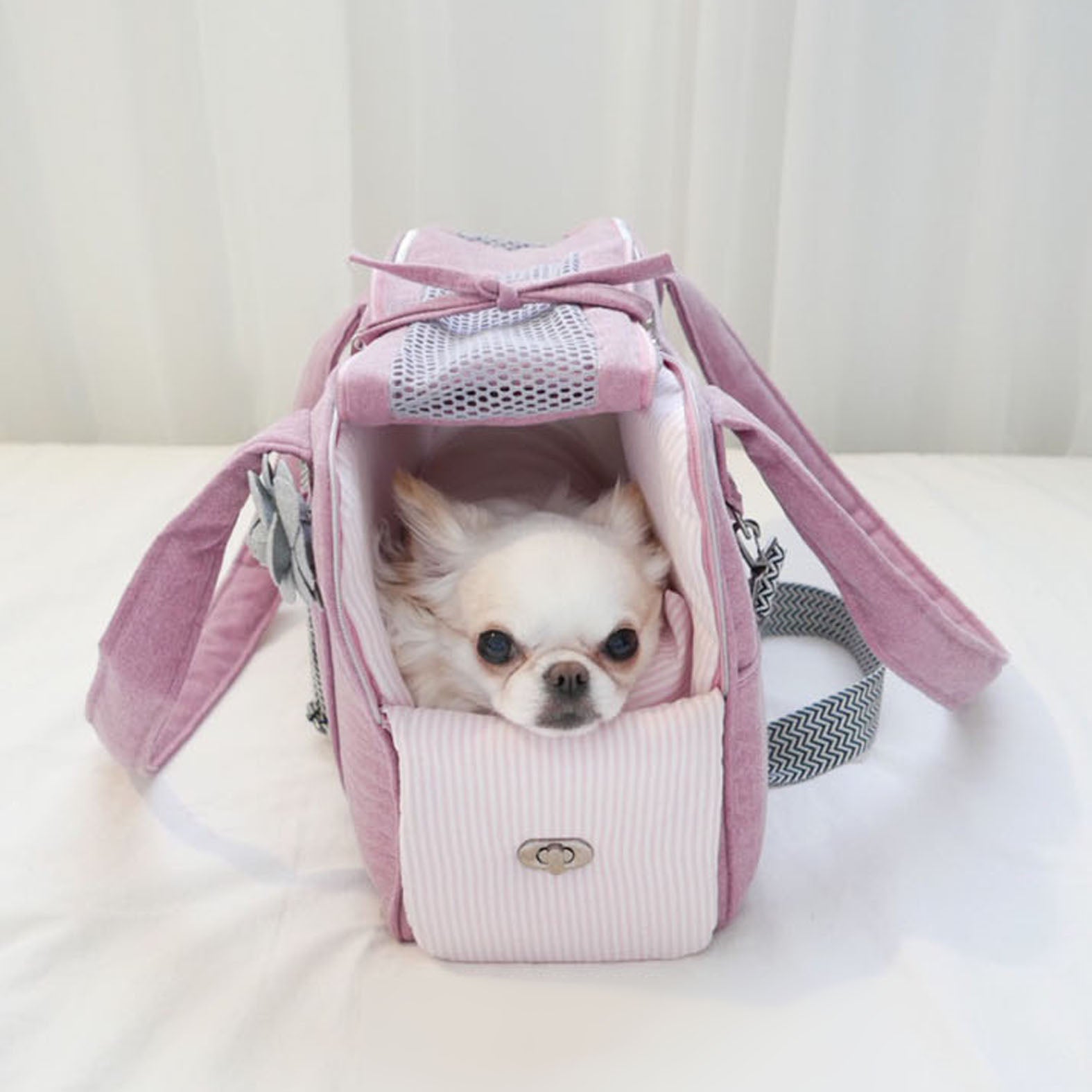 Authentic Signature Coach Airline Dog Carrier With Pink Interior