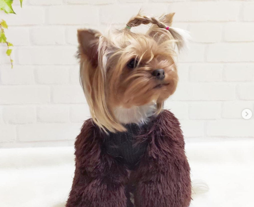 Elegance in Fluff Doggie Sweater