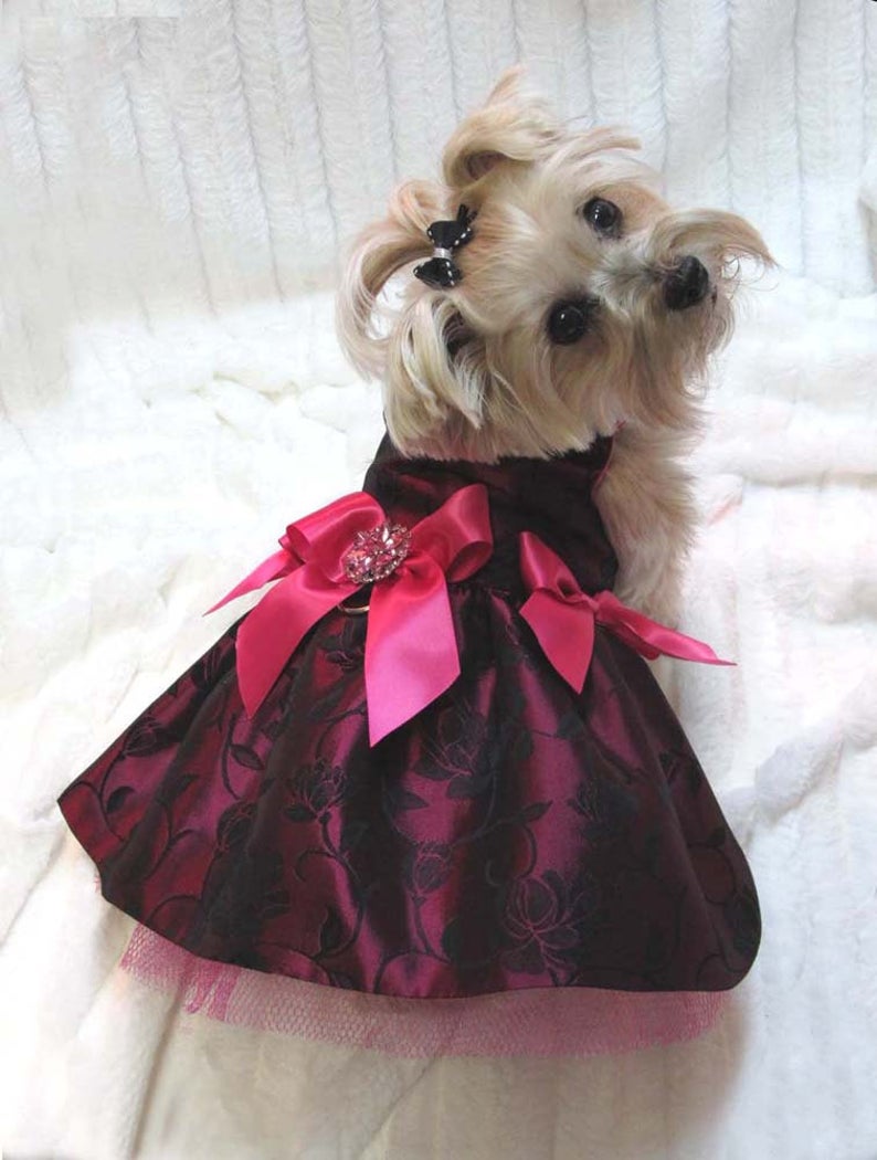 Formal Doggie Dresses | Teacup's Paw Couture