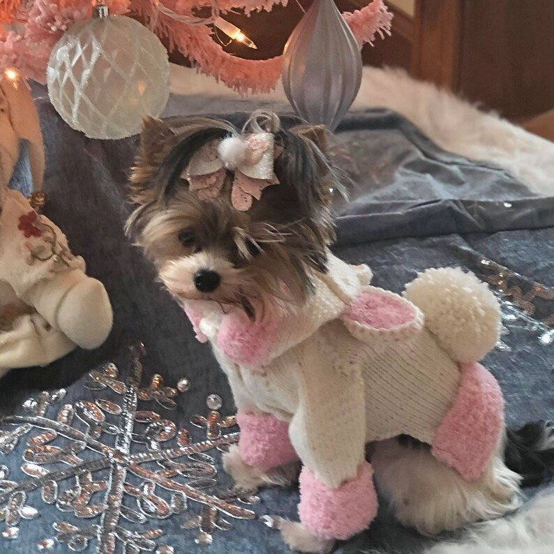 Bunny Rabbit Dressed as a Puppy Dog Sweater
