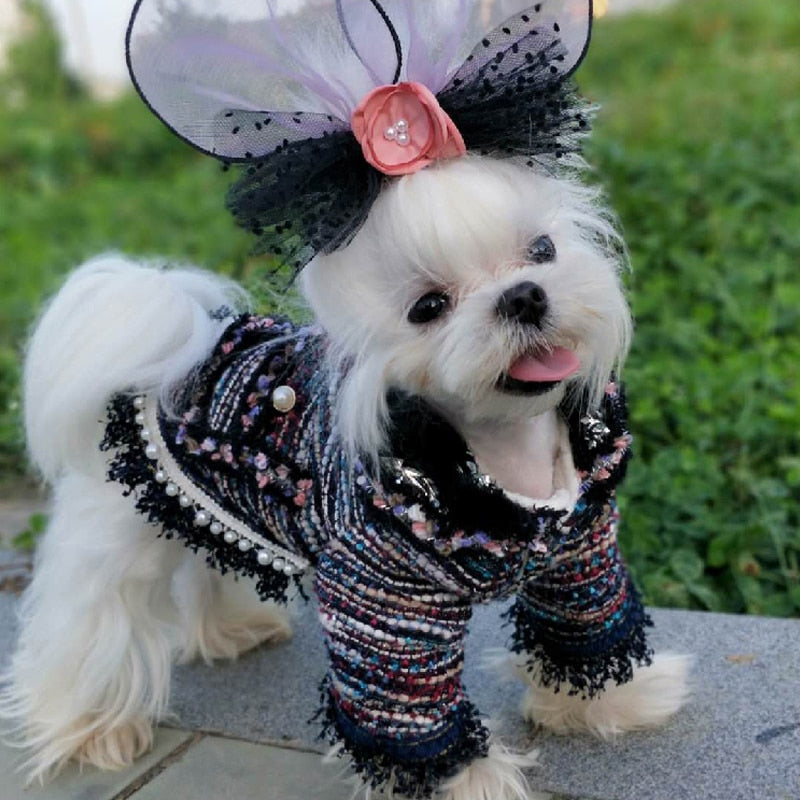 Beige Tweed Dog Dress Coco Princess Costume Vintage Tweed -  Israel