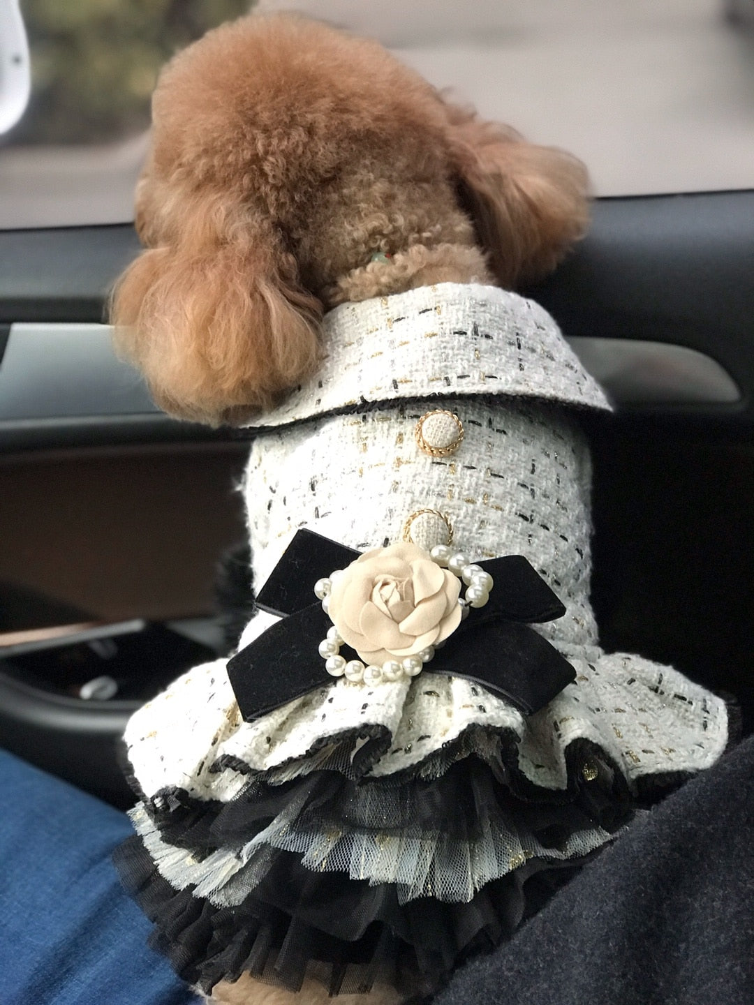 Canine Coco Chanel Dress Teacup s Paw Couture