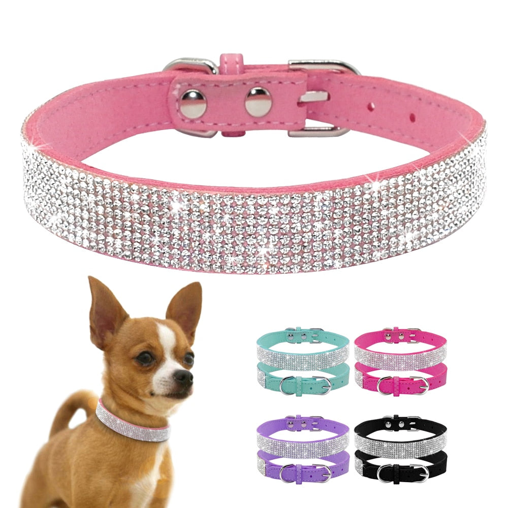 'Diamonds are a Dog's Best Friend' Collar