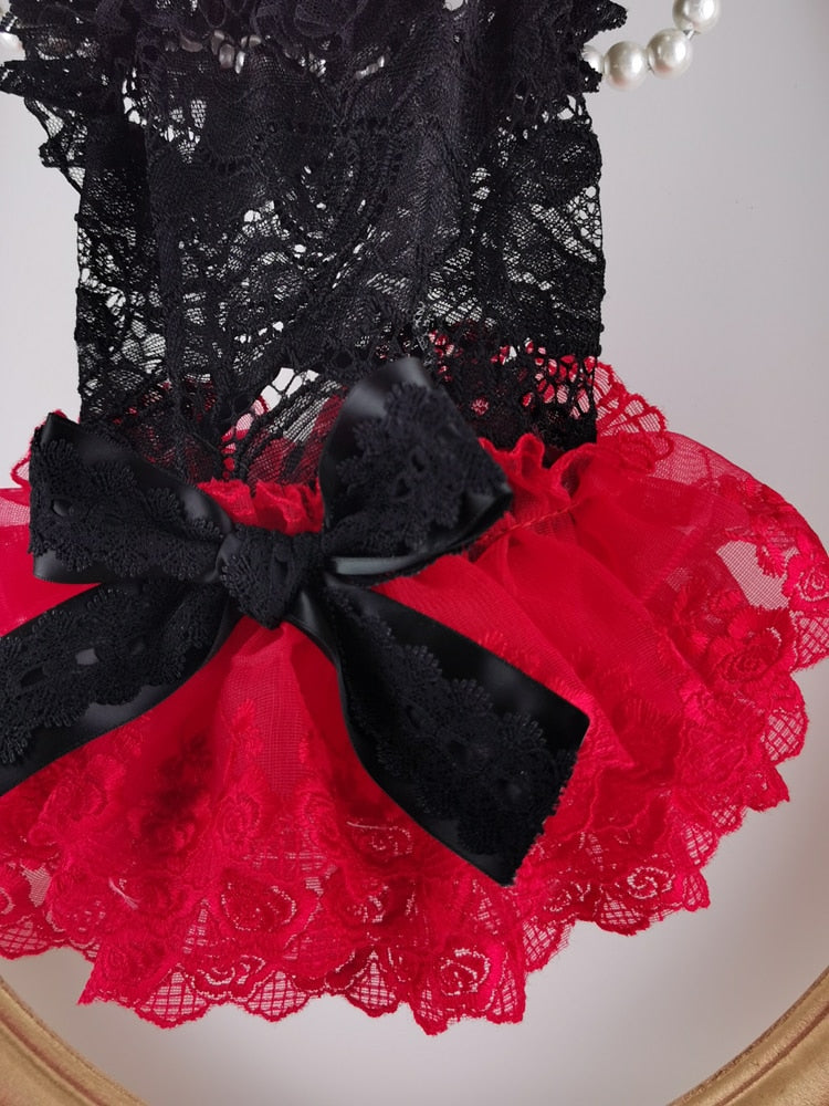 Ruffles and Lace Holiday Dress