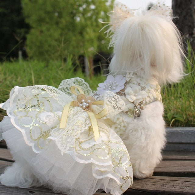 Gold Lace and Tutus Couture Dress