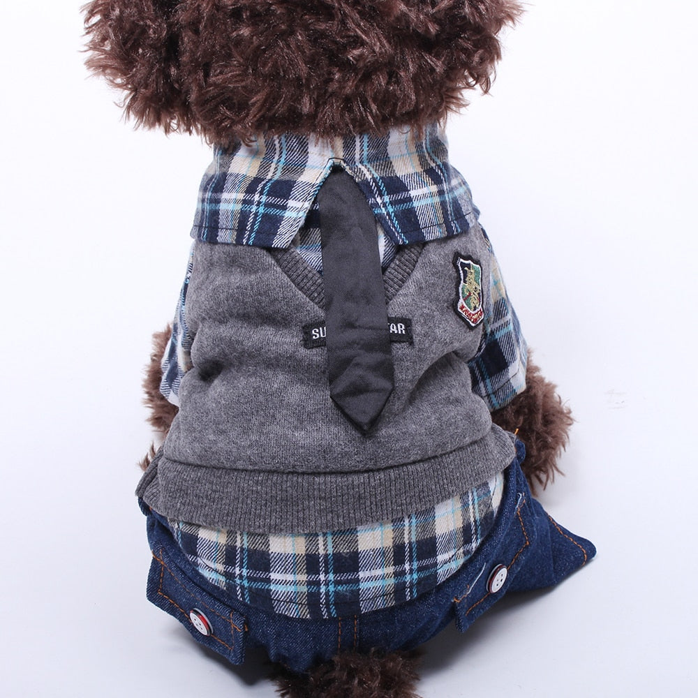 The Preppy Puppy in Plaid